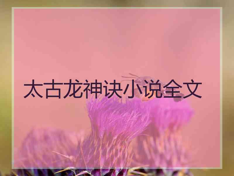 太古龙神诀小说全文