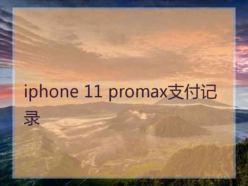 iphone 11 promax支付记录