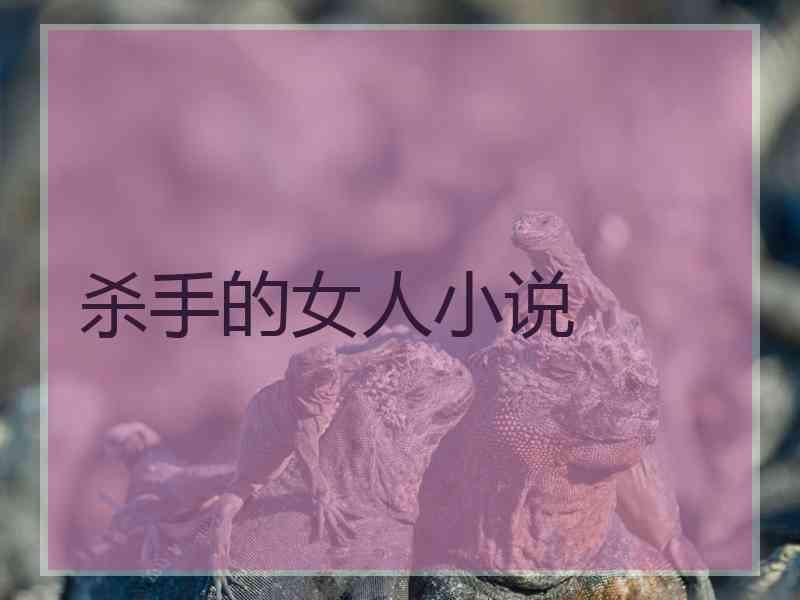 杀手的女人小说