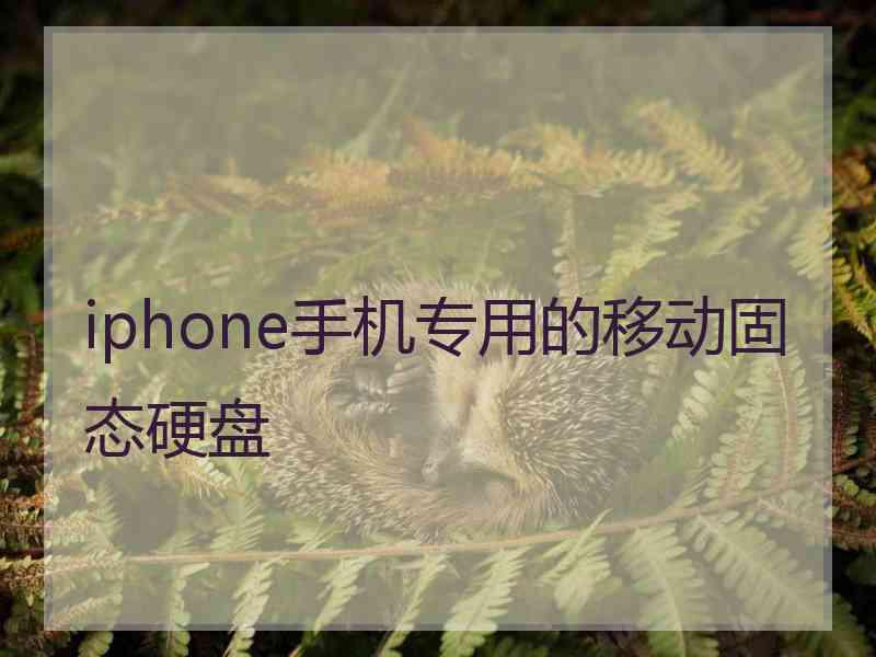 iphone手机专用的移动固态硬盘