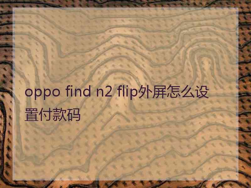 oppo find n2 flip外屏怎么设置付款码