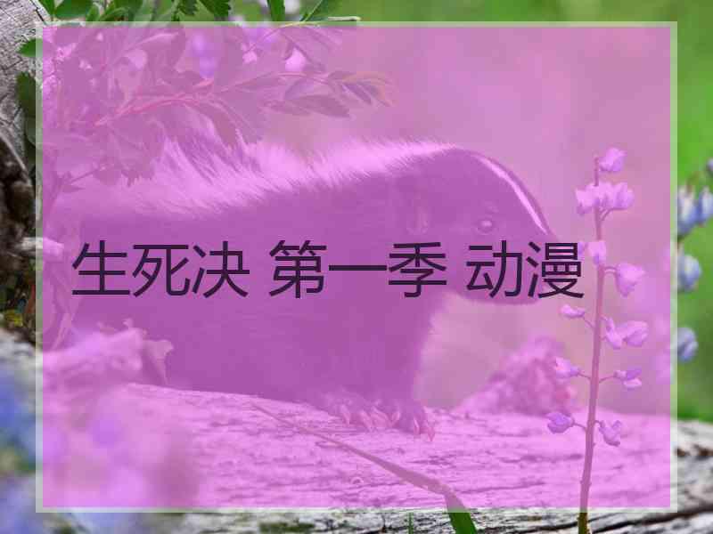 生死决 第一季 动漫