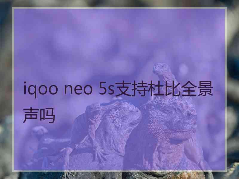 iqoo neo 5s支持杜比全景声吗