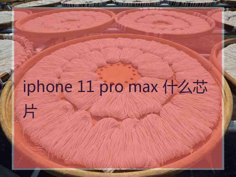 iphone 11 pro max 什么芯片