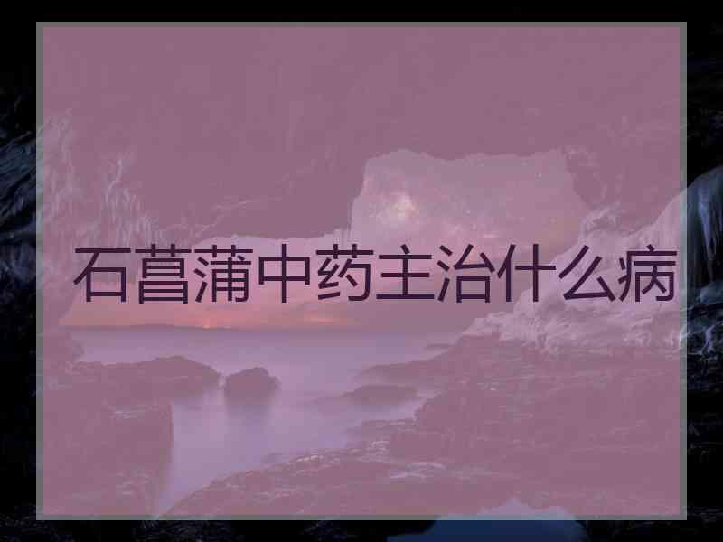 石菖蒲中药主治什么病