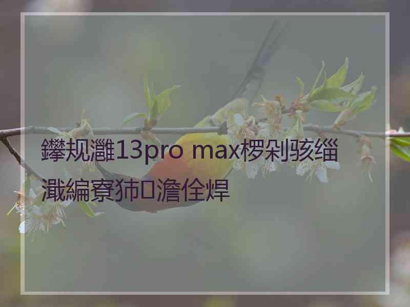 鑻规灉13pro max椤剁骇缁濈編寮犻澹佺焊