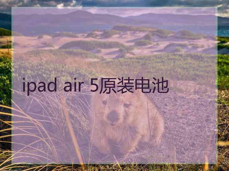 ipad air 5原装电池