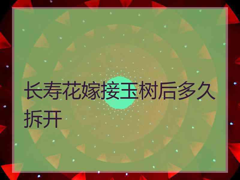 长寿花嫁接玉树后多久拆开