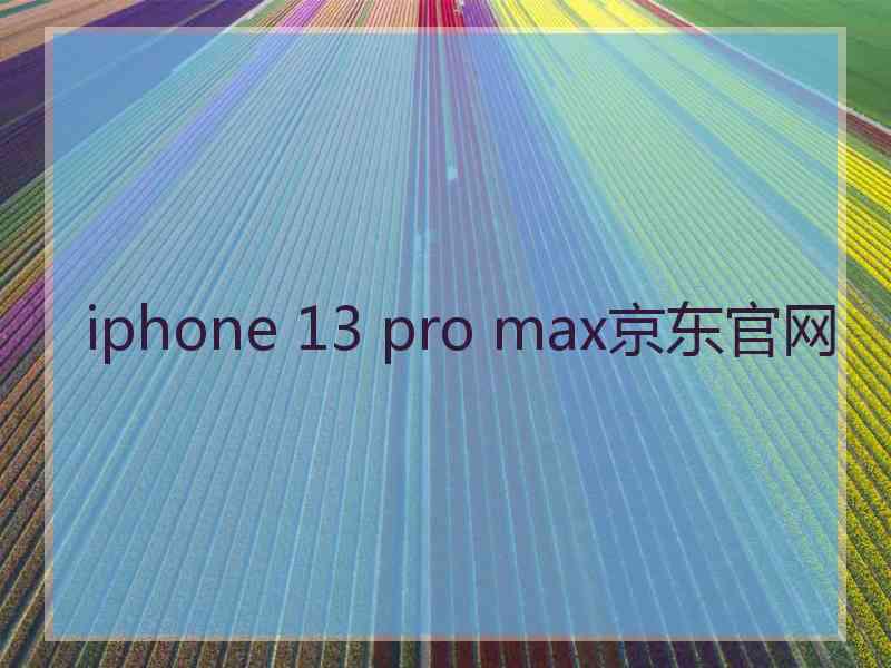 iphone 13 pro max京东官网