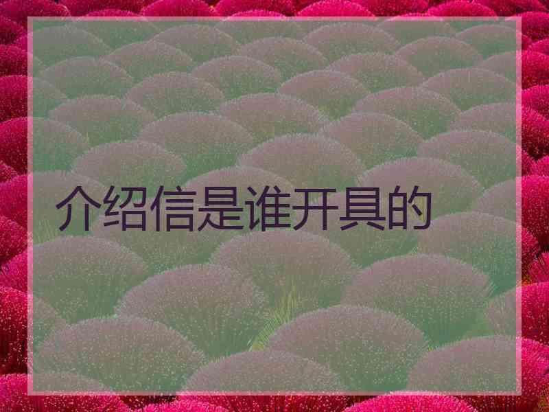 介绍信是谁开具的