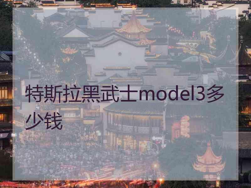 特斯拉黑武士model3多少钱