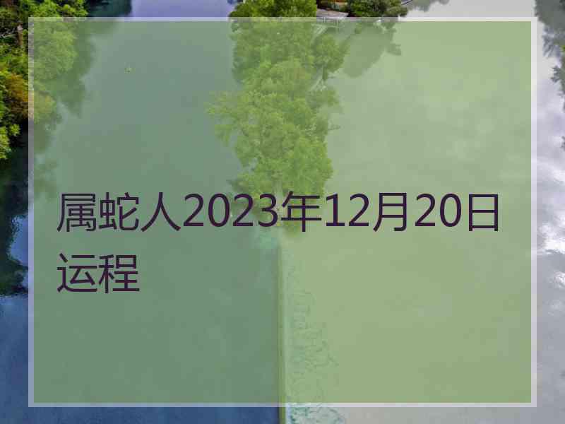 属蛇人2023年12月20日运程