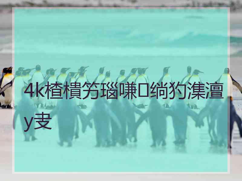 4k楂樻竻瑙嗛绱犳潗澶у叏