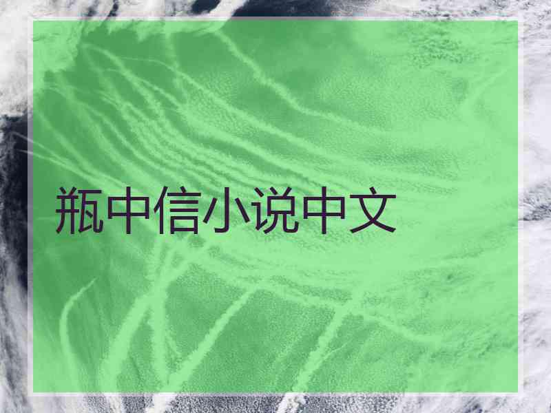 瓶中信小说中文