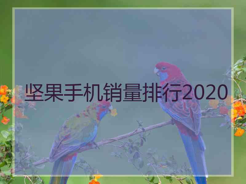 坚果手机销量排行2020