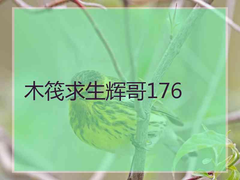 木筏求生辉哥176