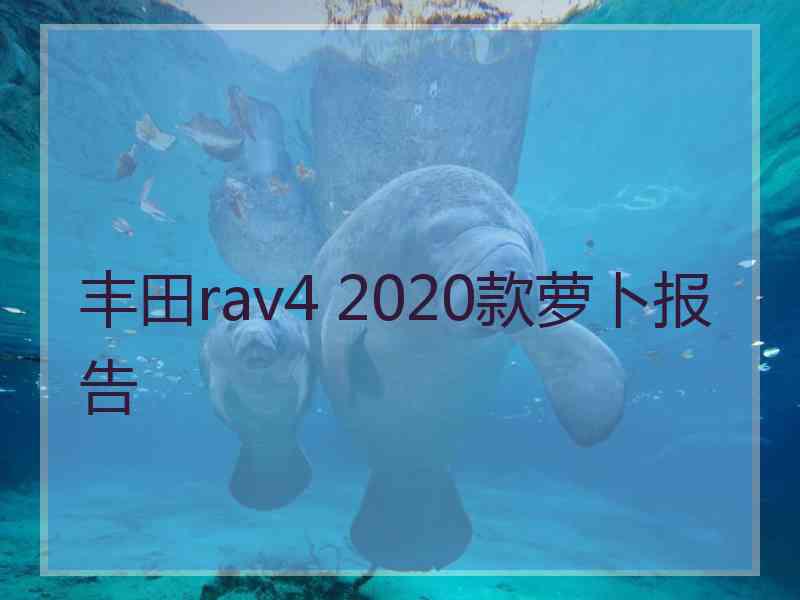 丰田rav4 2020款萝卜报告