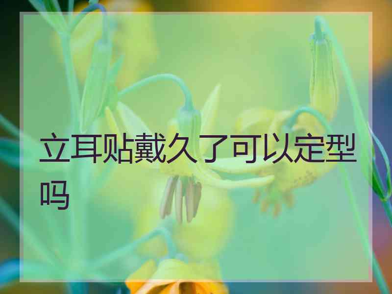 立耳贴戴久了可以定型吗