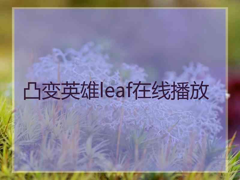 凸变英雄leaf在线播放