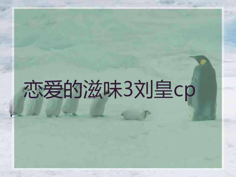 恋爱的滋味3刘皇cp