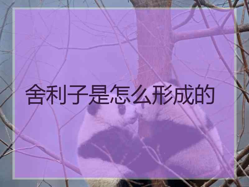 舍利子是怎么形成的