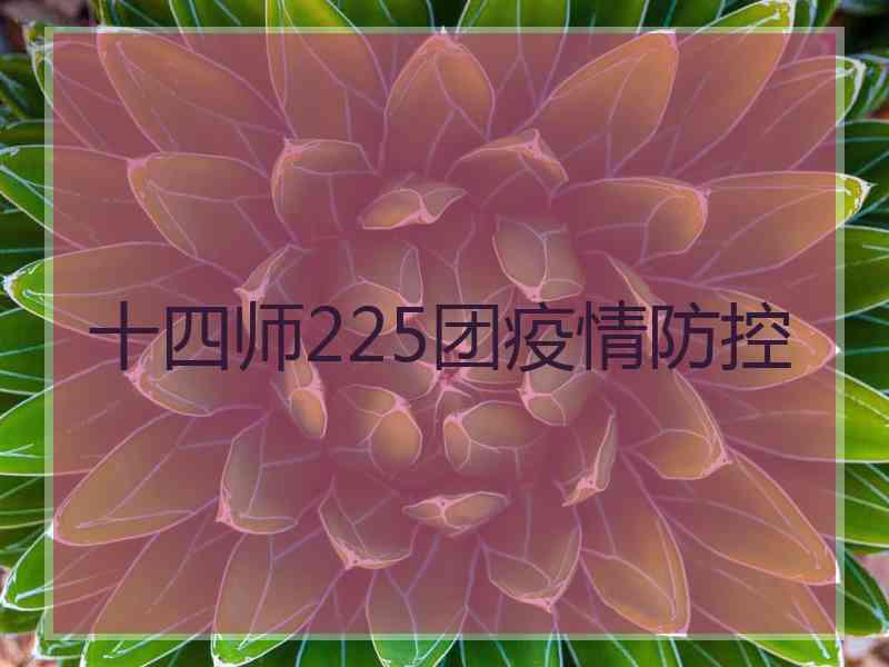 十四师225团疫情防控