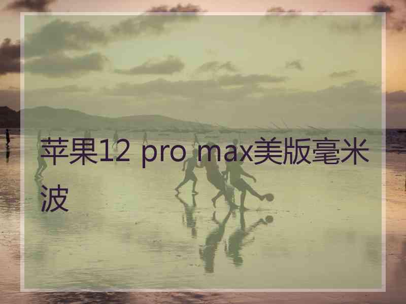 苹果12 pro max美版毫米波