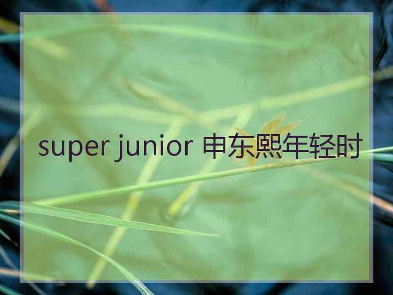 super junior 申东熙年轻时