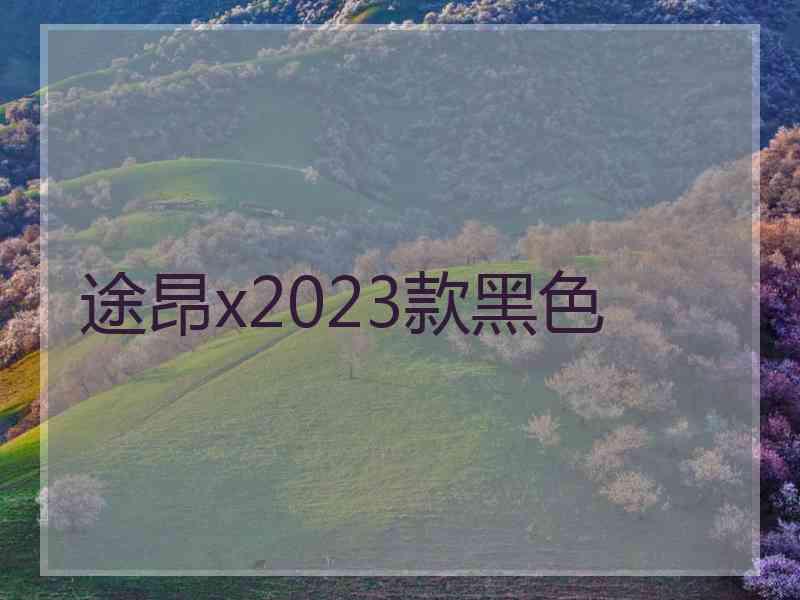 途昂x2023款黑色