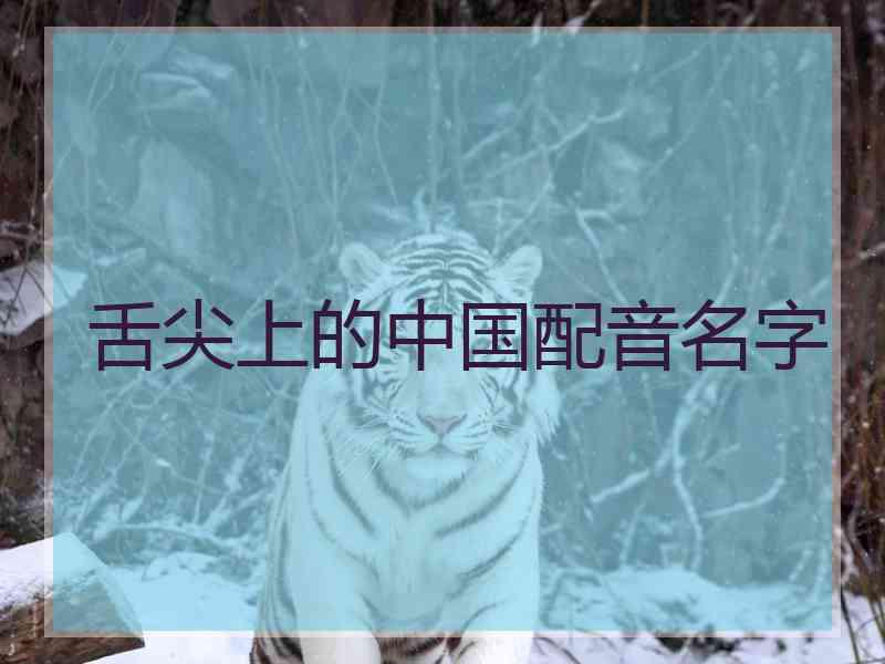 舌尖上的中国配音名字