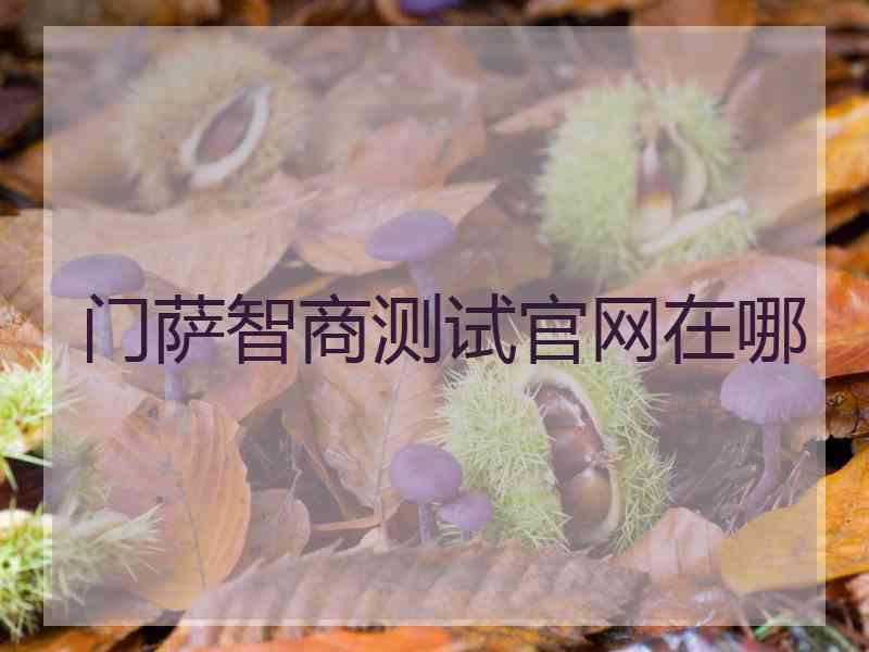 门萨智商测试官网在哪