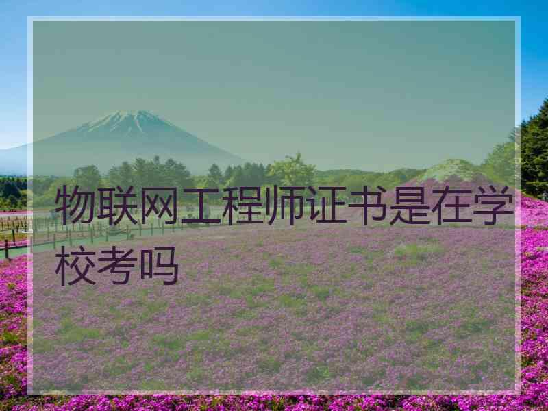 物联网工程师证书是在学校考吗