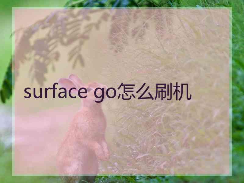 surface go怎么刷机