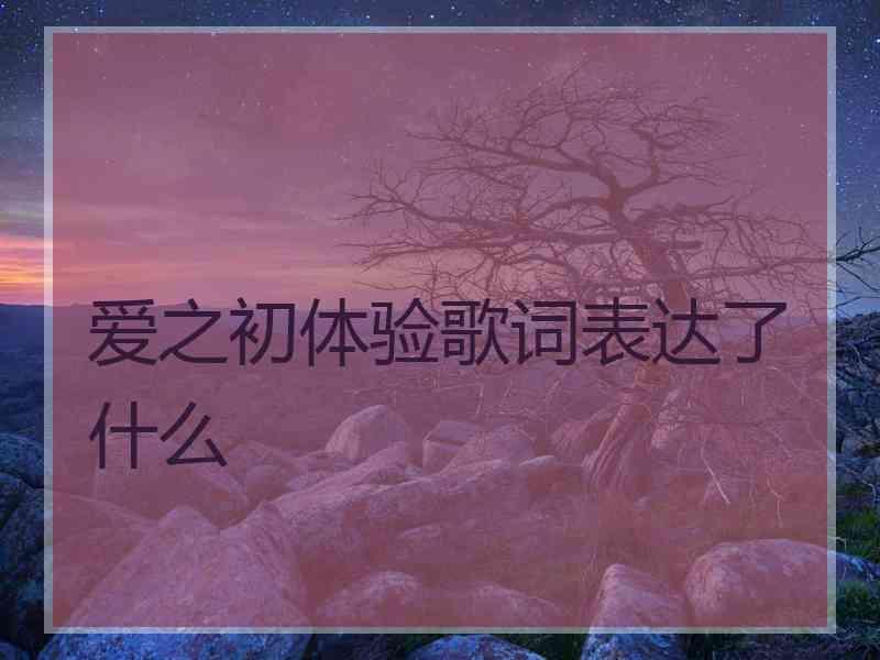 爱之初体验歌词表达了什么