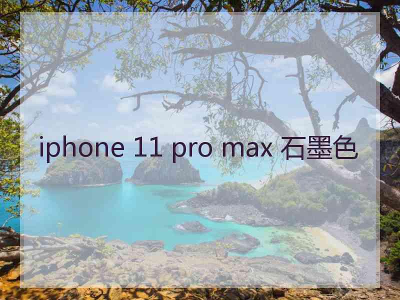 iphone 11 pro max 石墨色