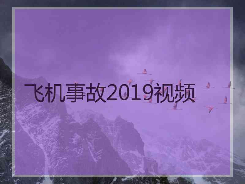 飞机事故2019视频