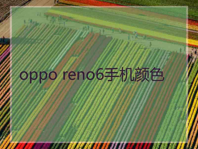 oppo reno6手机颜色