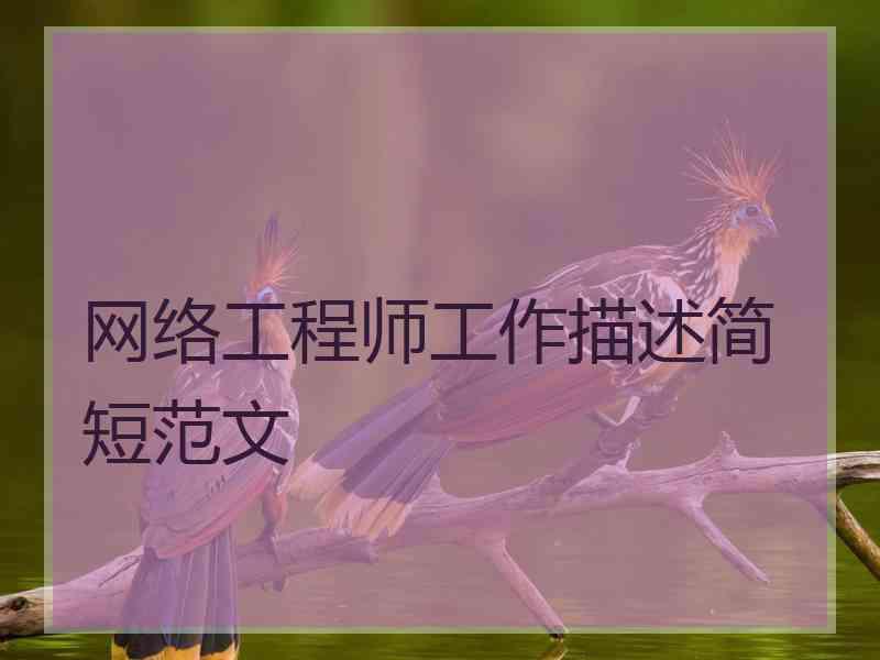 网络工程师工作描述简短范文