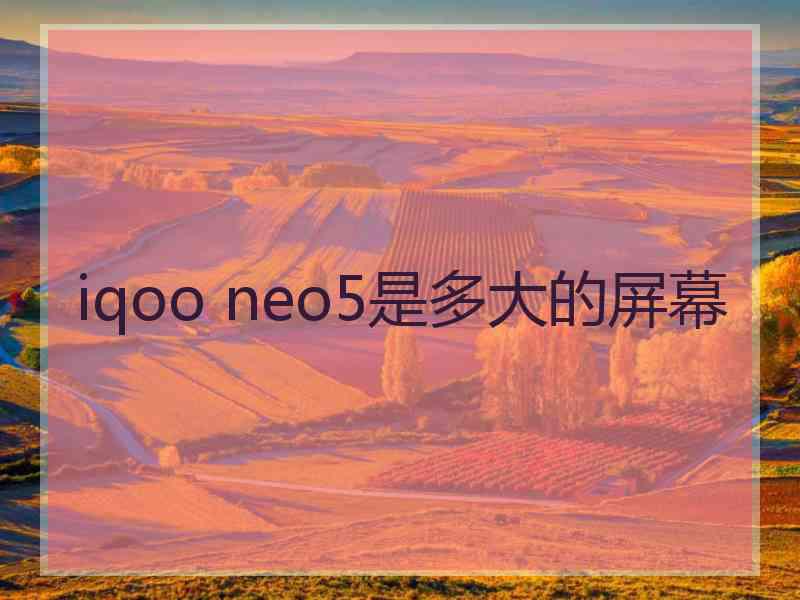 iqoo neo5是多大的屏幕