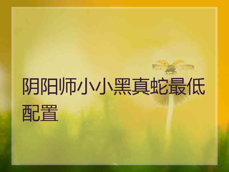 阴阳师小小黑真蛇最低配置