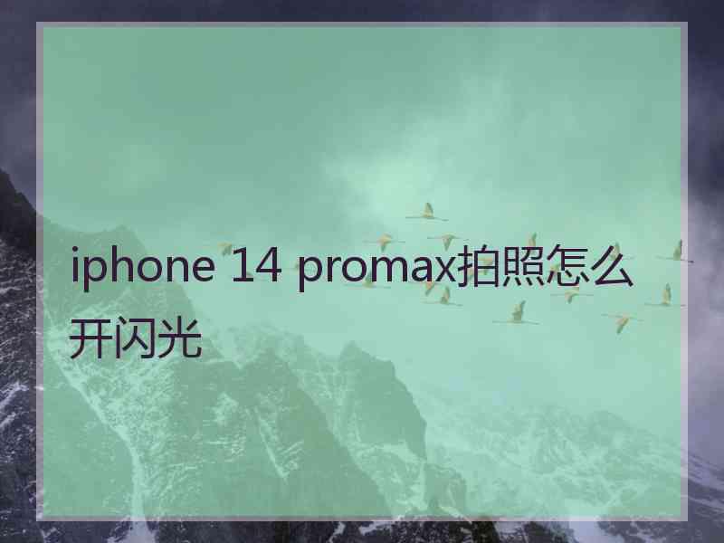 iphone 14 promax拍照怎么开闪光