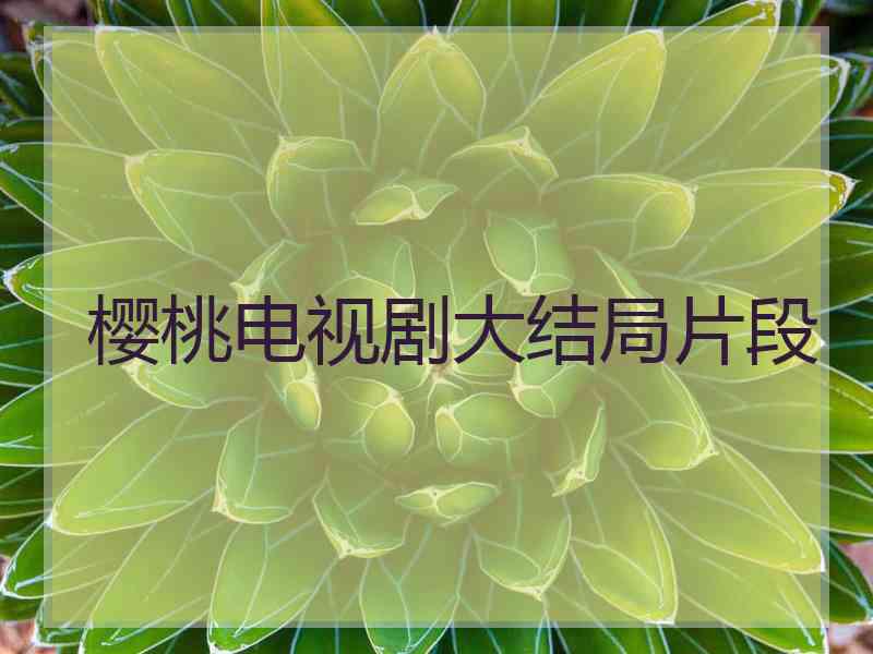 樱桃电视剧大结局片段