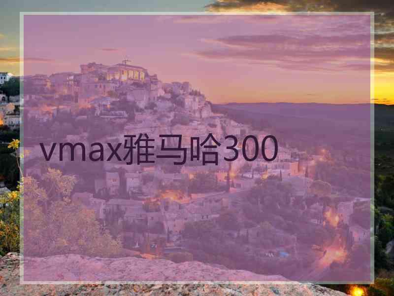 vmax雅马哈300