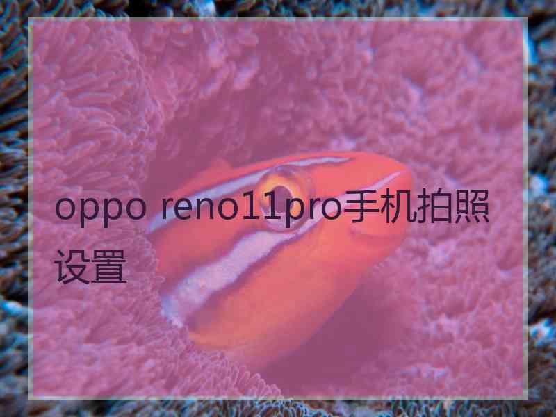 oppo reno11pro手机拍照设置