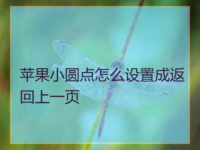 苹果小圆点怎么设置成返回上一页