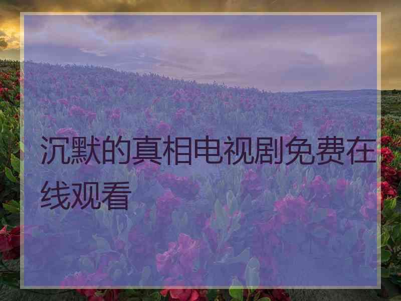 沉默的真相电视剧免费在线观看