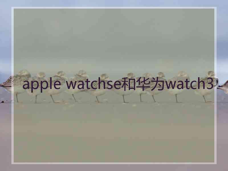 apple watchse和华为watch3