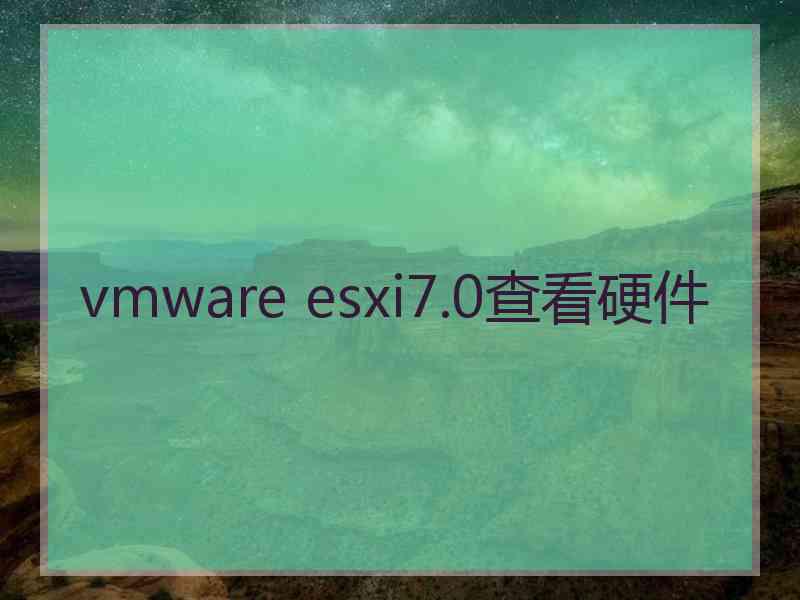 vmware esxi7.0查看硬件