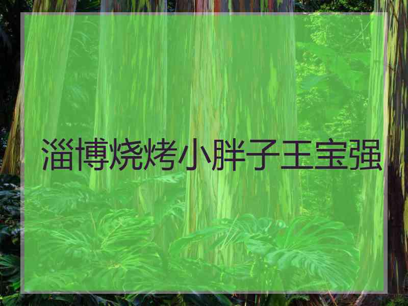 淄博烧烤小胖子王宝强