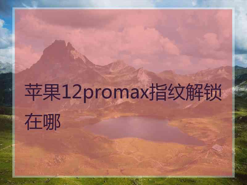 苹果12promax指纹解锁在哪